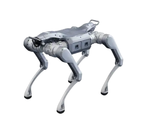 10017